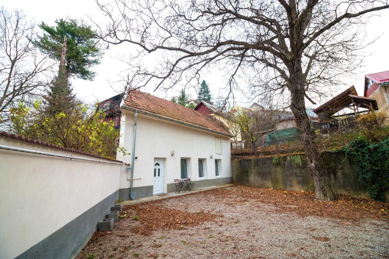 Vila Crișan Braşov Dış mekan fotoğraf